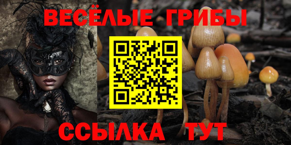 Псилоцибиновые грибы прущие грибы Подольск