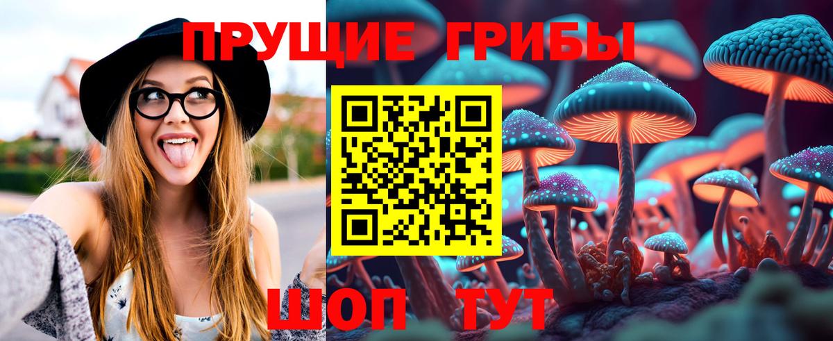 Псилоцибиновые грибы Psilocybe  Вход с VPN  Подольск 